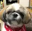 あかりのプロフィール画像