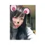 りんちゃんのプロフィール画像