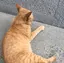かじボーンのプロフィール画像