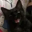 みさのプロフィール画像
