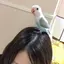 Nのプロフィール画像