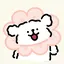 soraのプロフィール画像