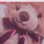 くまのプロフィール画像