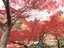 なのんのプロフィール画像