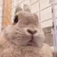 葵のプロフィール画像