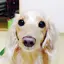 YRmamaのプロフィール画像