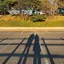 tomochangのプロフィール画像