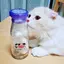 なつのプロフィール画像