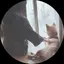 ちぃのプロフィール画像