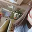 Mのプロフィール画像