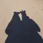 rinのプロフィール画像