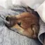 あかのプロフィール画像