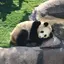 ななのプロフィール画像