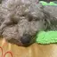 さきちのプロフィール画像