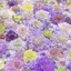 速水のプロフィール画像