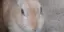 靜のプロフィール画像