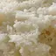 木綿豆腐のプロフィール画像