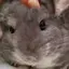 遥のプロフィール画像