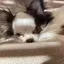 ゆいかのプロフィール画像