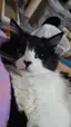 みぃのプロフィール画像