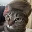 りんのプロフィール画像