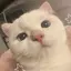 まつげのプロフィール画像