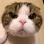 じゅのプロフィール画像
