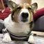 Sのプロフィール画像