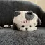みのプロフィール画像