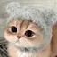 ゆのプロフィール画像