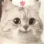 Yaのプロフィール画像