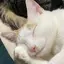 あやこのプロフィール画像