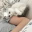 ユメミのプロフィール画像
