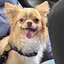 あゆみんのプロフィール画像