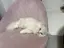 川上のプロフィール画像