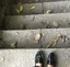kanaのプロフィール画像