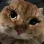Rのプロフィール画像