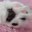 らなのプロフィール画像