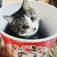 なおなおのプロフィール画像