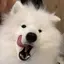 みぃみのプロフィール画像