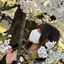 しおりのプロフィール画像