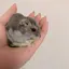 みなみのプロフィール画像