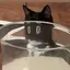 kiのプロフィール画像
