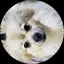 あーちゃんのプロフィール画像