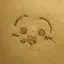 にょのプロフィール画像