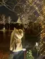 美々のプロフィール画像