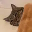 ハヌルのプロフィール画像