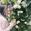 梨音のプロフィール画像