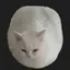 ミナミのプロフィール画像