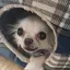 みきティのプロフィール画像